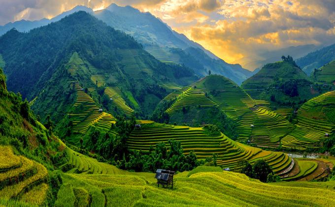 Discover Vietnam Tours