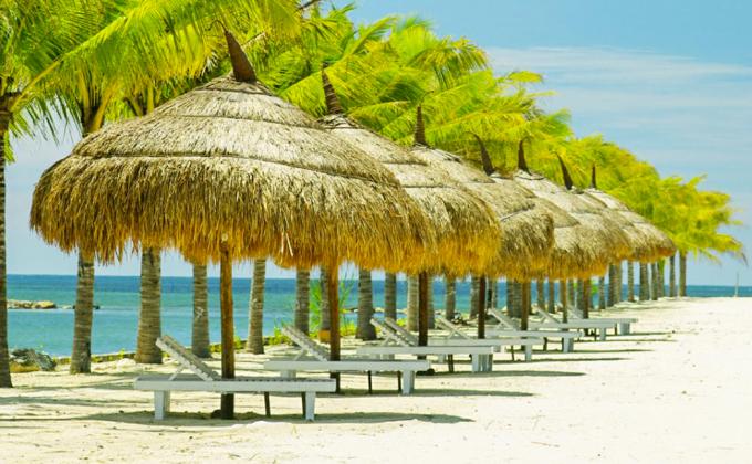 Discover Vietnam Tours