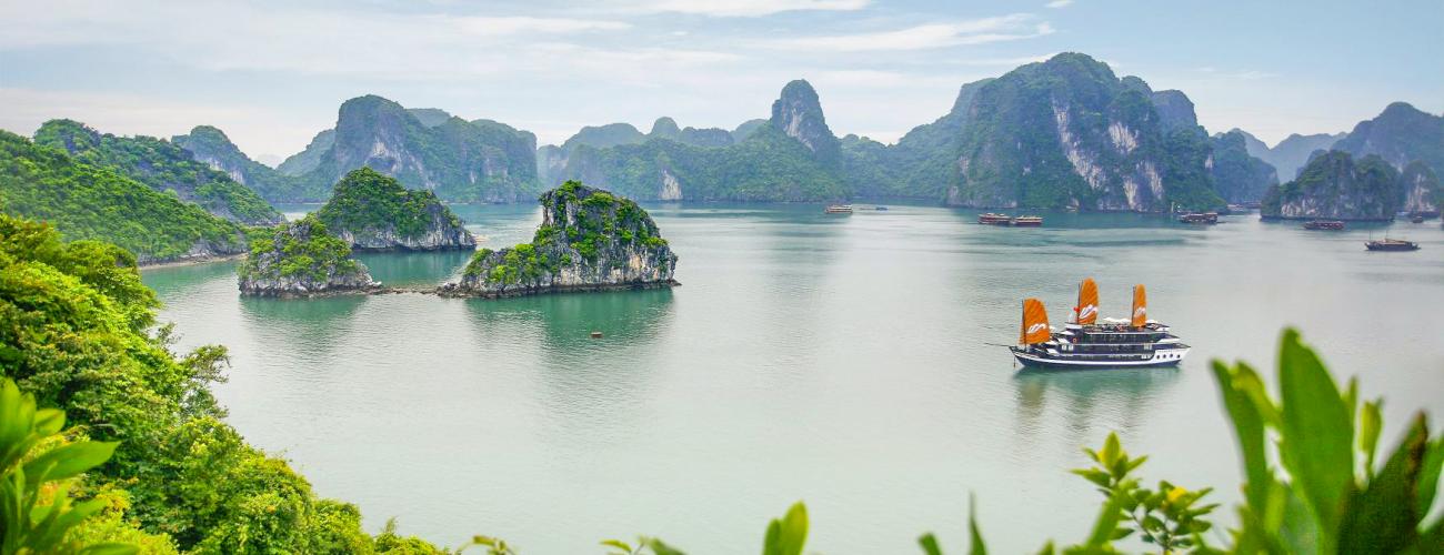 Discover Vietnam Tours