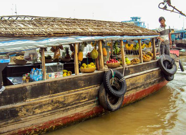 Ho Chi Minh City and Mekong Delta 2 Days