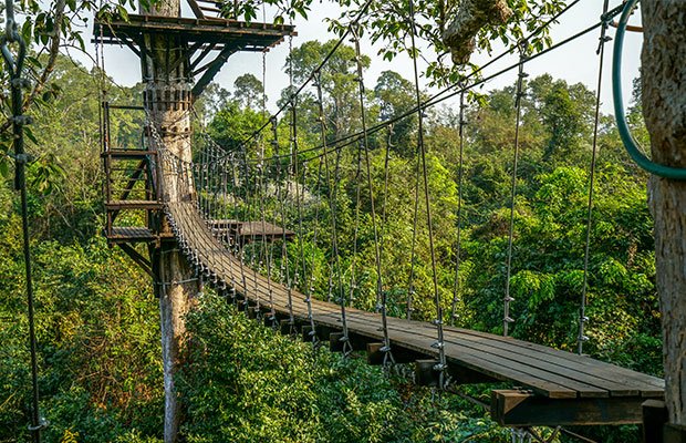 Angkor Zipline (Fly in the jungle)