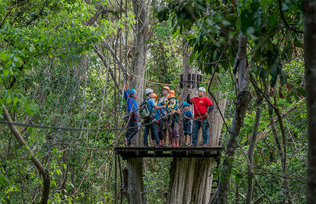 Angkor Zipline (Fly in the jungle)