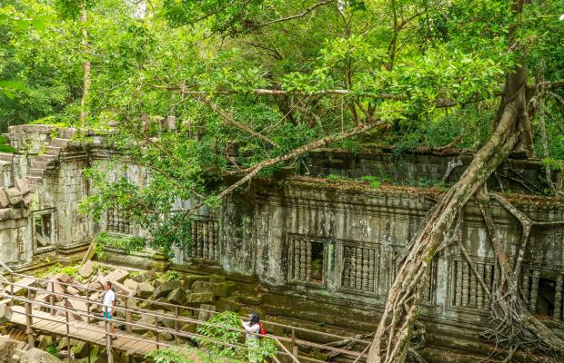 Beng Melea Temple Day Tour
