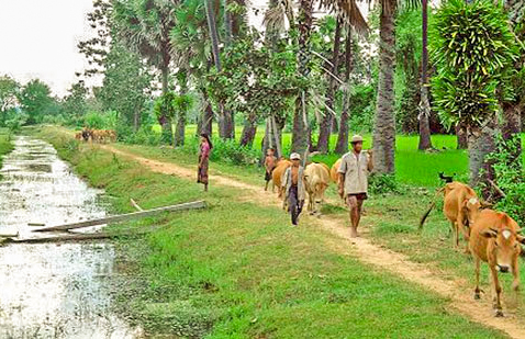Countryside Tour by Quad Bike (2 hours)