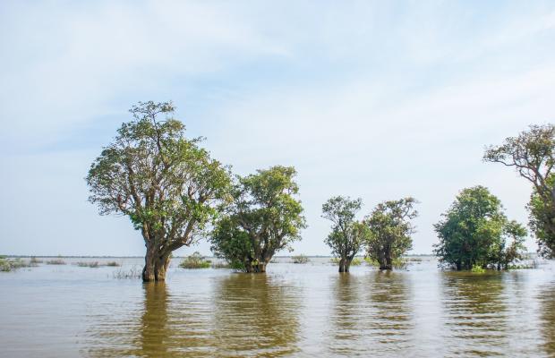 Floating Village Kampong Phluk Half Day Tour