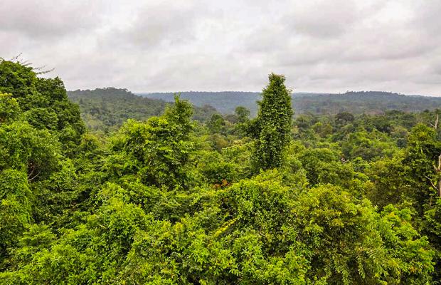 Kulen Mountain & Thousand Linga River Day Tour