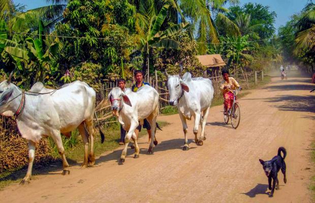 Koh Dach – Mekong Island by Air-con vehicle Half Day