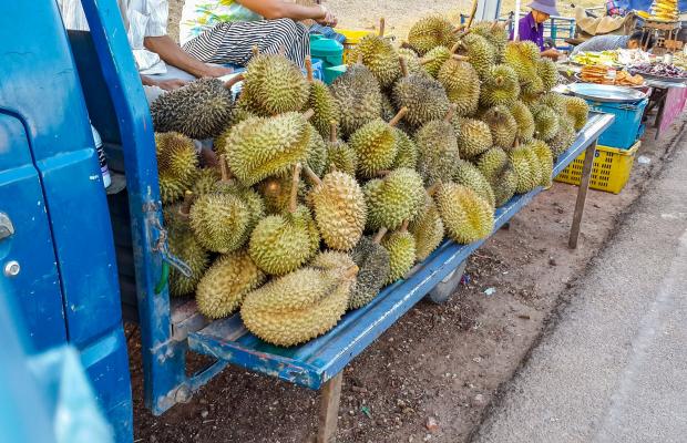 Evening Street Food Tour