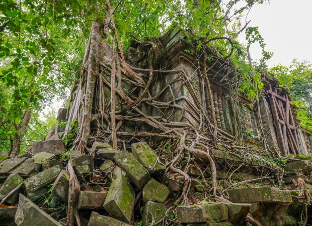 Beng Melea Temple Day Tour